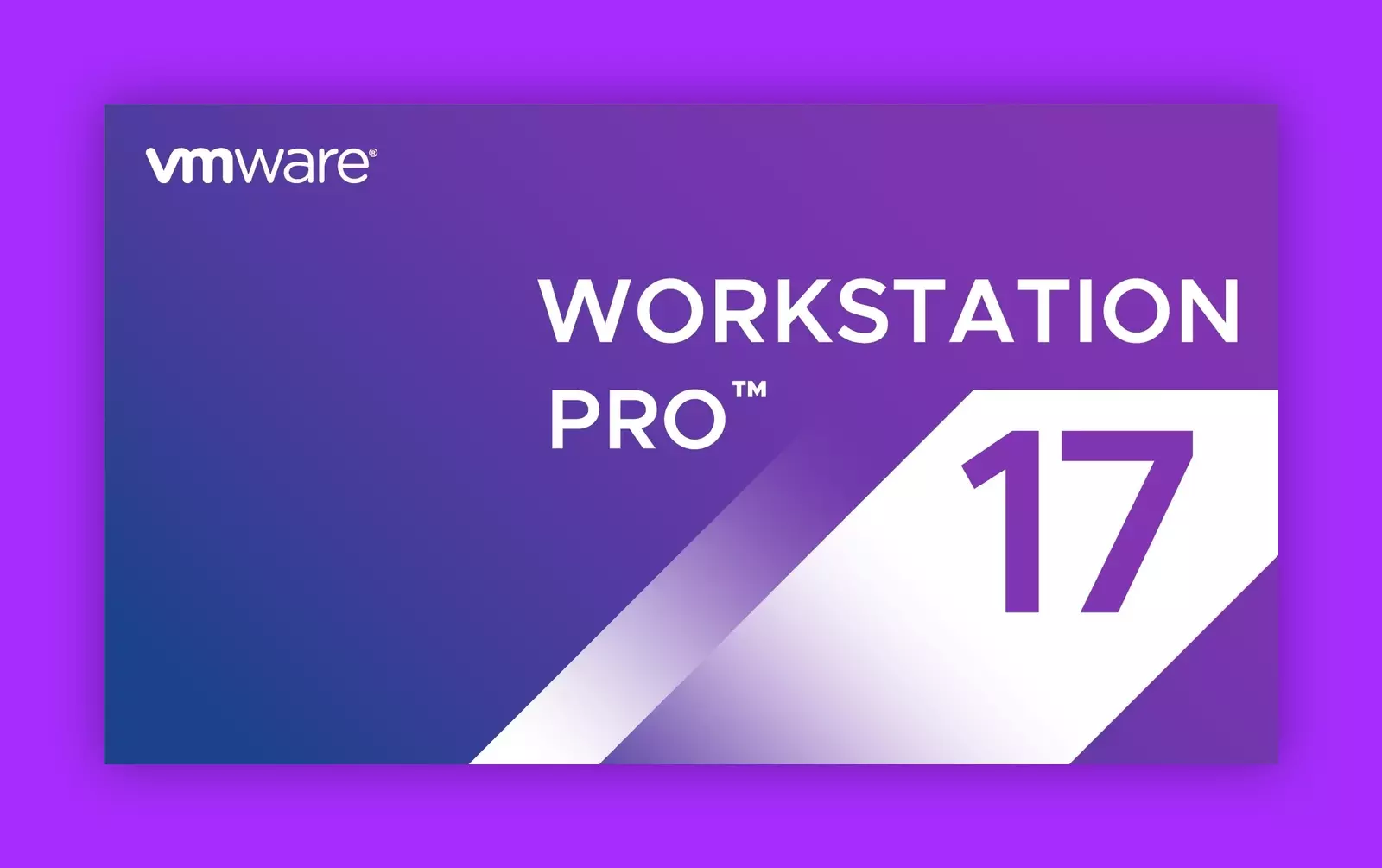 VMware Workstation Pro + VMware Workstation Player