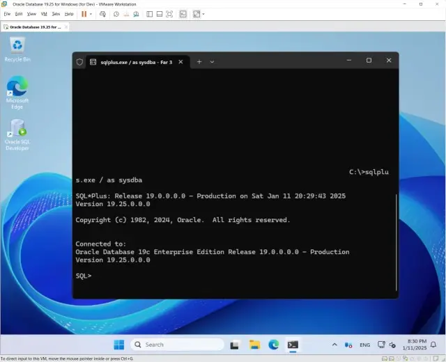 Oracle Database 19c, SQL Developer, APEX, sqlcl for Windows Server