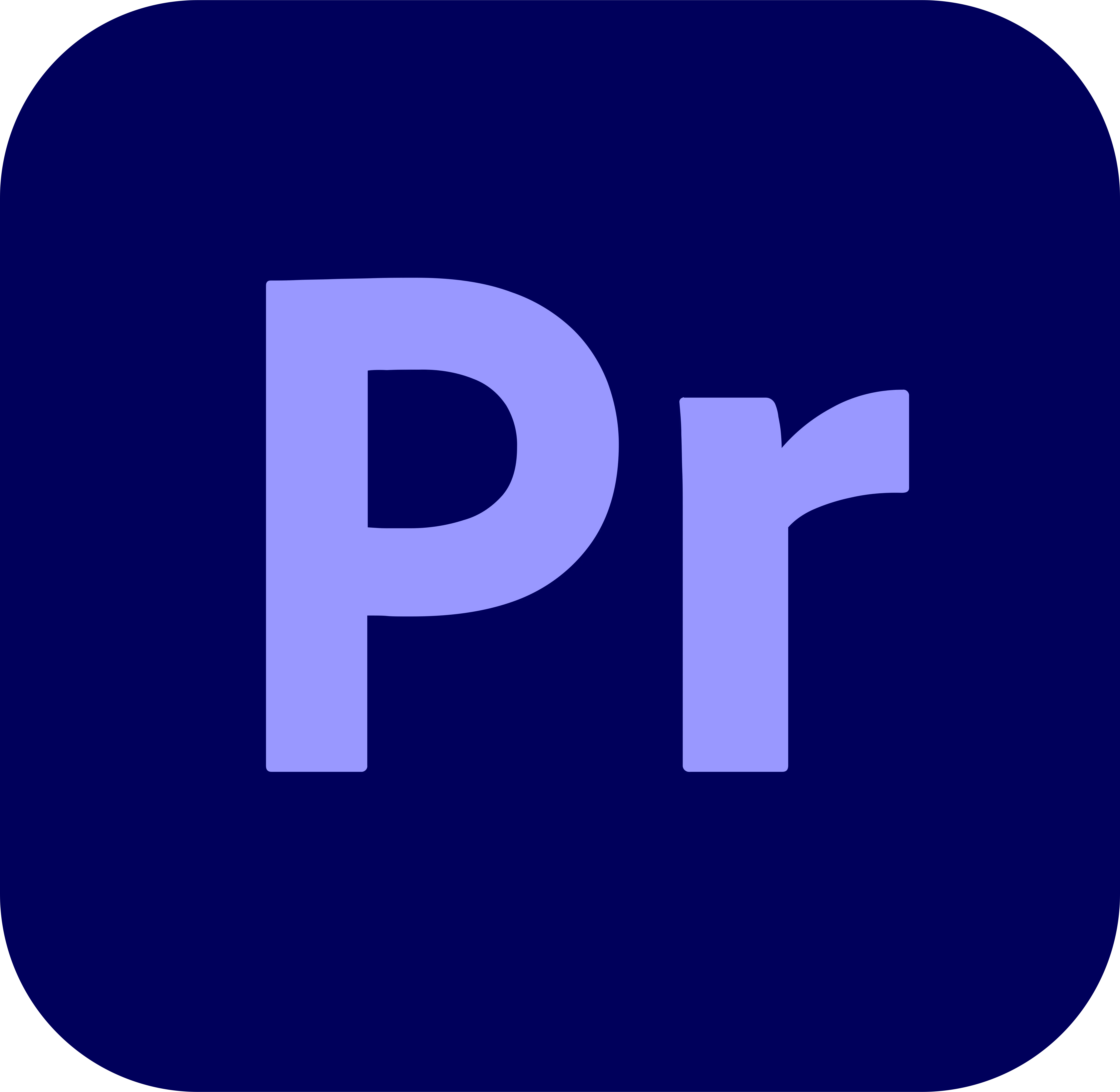 Adobe Premiere Pro Light