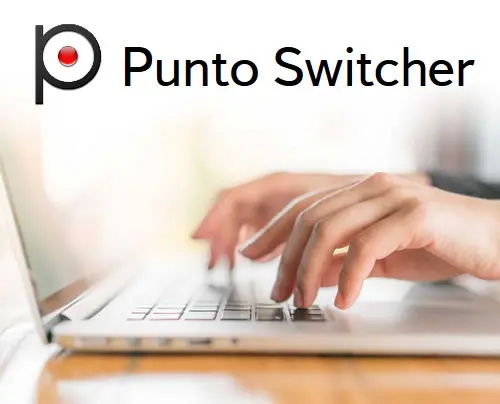 Punto Switcher