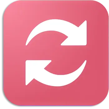 Icecream Video Converter Pro