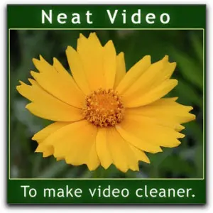 Neat Video Pro for Adobe Premiere Pro