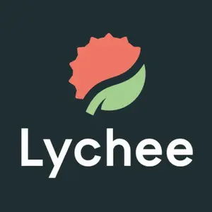 Lychee Slicer Pro