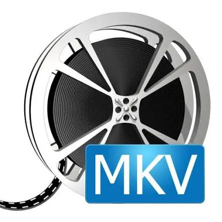 MKV Converter